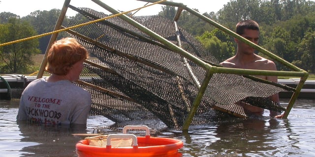 What's the Catch? Becoming a Fish Management & Aquaculture Specialist